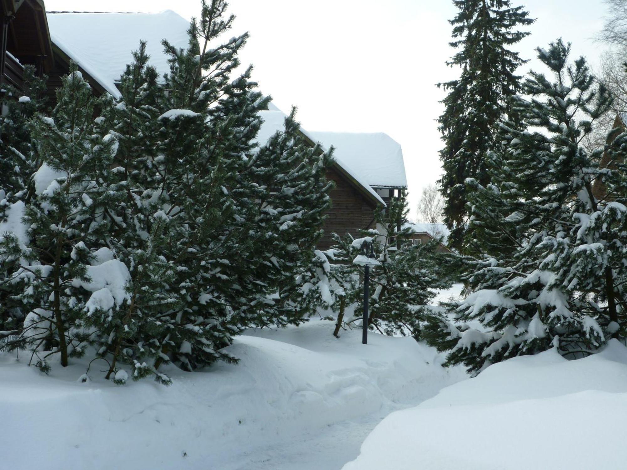 Hapimag Ferienwohnungen Braunlage Exterior photo
